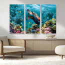 Sea Turtle and Coral Reef Triptych Wall Art – Vibrant