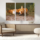 Sleeping Fox Wall Art Canvas Print, Farmhouse Wall Decor and