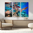 Underwater Coral Reef Sea Turtle Wall Art Canvas Print,