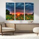 Golden Sunflower Field at Sunset – Breathtaking Sky and