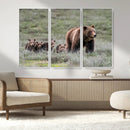 Wildlife Photography of 399 Grizzly Bear Cubs | Queen of the by MyGreatCanvas | Canvas Wall Art Prints | Photo Prints & Wall Decor