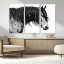 Black Horse Wall Art Canvas Print – Elegant Farmhouse Decor