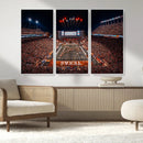Texas Stadium Night Game Wall Art Canvas Print – Vibrant