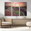 Indiana Memorial Stadium Wall Art Canvas Print, Framed