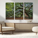 Historic Tree Wall Art – Framed Mossy Branch Canvas Artwork, by MyGreatCanvas | Canvas Wall Art Prints | Photo Prints & Wall Decor