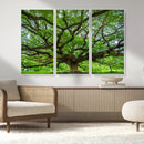 Oak Tree Wall Art Print, Forest Canvas Wall Art for Home and by MyGreatCanvas | Canvas Wall Art Prints | Photo Prints & Wall Decor