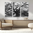 Ancient Oak Wall Art Canvas Print – Gnarled Tree Twisted by MyGreatCanvas | Canvas Wall Art Prints | Photo Prints & Wall Decor