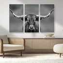 Texas Longhorn Wall Art Canvas Print – Framed Western Bull