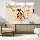 Texas Longhorn Wall Art Canvas Print – Framed Spotted Cow