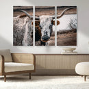Texas Longhorn Wall Art Canvas Print – Framed Spotted Bull