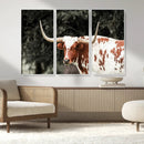 Texas Longhorn Wall Art Canvas Print – Framed Spotted Bull