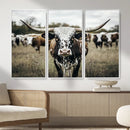 Texas Longhorn Wall Art – Framed Speckled Cow Canvas by MyGreatCanvas | Canvas Wall Art Prints | Photo Prints & Wall Decor