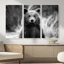 Grizzly Bear Wall Art Canvas Print – Framed Black White