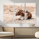 Texas Longhorn Wall Art Canvas Print – Framed Resting Bull by MyGreatCanvas | Canvas Wall Art Prints | Photo Prints & Wall Decor
