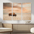 MyCanvas -