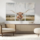 Texas Longhorn Wall Art Canvas Print – Framed Western Cow