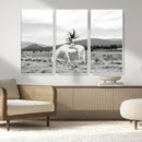 White Horse Wall Art Canvas Print – Framed Woman Rider