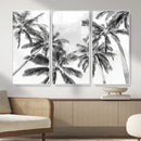 Black and White Palm Wall Art Canvas Print – Framed