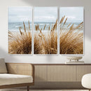 Beach Grass Wall Art – Framed Coastal Dunes Canvas Artwork, by MyGreatCanvas | Canvas Wall Art Prints | Photo Prints & Wall Decor