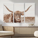 Longhorn Cow Wall Art Canvas Print – Framed Texas Ranch