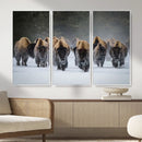 Bison Herd Wall Art Canvas Print, Framed Rustic Wildlife by MyGreatCanvas | Canvas Wall Art Prints | Photo Prints & Wall Decor