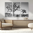 Joshua Tree Wall Art Canvas Print – Framed Monochrome Desert