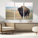 Bison Wall Art Canvas Print – Framed Buffalo American Bison
