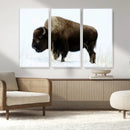 Bison Wall Art Canvas Print – Framed Western Wildlife