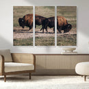 Bison Wall Art Canvas Print – Framed Western Wildlife Modern by MyGreatCanvas | Canvas Wall Art Prints | Photo Prints & Wall Decor