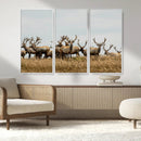 Elk Herd Wall Art Canvas Print – Framed Wildlife Photography