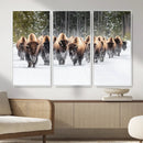 Bison Herd Scene Wall Art Canvas Print – Framed Western by MyGreatCanvas | Canvas Wall Art Prints | Photo Prints & Wall Decor