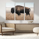 American Bison Wall Art Canvas Print – Majestic Buffalo