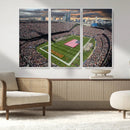Chicago Bears Soldiers Field Wall Art Canvas Print – Framed
