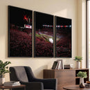 William Brice Stadium Wall Art Print – Baseball Game Room