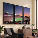 Dooley Stadium Wall Art, Sports Arena Canvas Print, Dooley