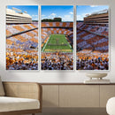 Tennessee Neyland Stadium Wall Art, Sports Arena Canvas by MyGreatCanvas | Canvas Wall Art Prints | Photo Prints & Wall Decor