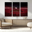 Dooley Stadium Wall Art, Sports Arena Canvas Print, Dooley by MyGreatCanvas | Canvas Wall Art Prints | Photo Prints & Wall Decor
