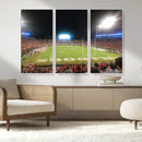 Dooley Stadium Wall Art, Sports Arena Panoramic Canvas by MyGreatCanvas | Canvas Wall Art Prints | Photo Prints & Wall Decor