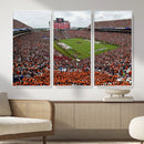 Jordan-Hare Stadium Wall Art Canvas Print, College Sports by MyGreatCanvas | Canvas Wall Art Prints | Photo Prints & Wall Decor