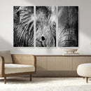 Wild Old Elephant Wall Art Canvas Print