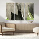 Wild Elephant Wall Art Canvas Print by MyGreatCanvas | Canvas Wall Art Prints | Photo Prints & Wall Decor