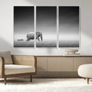 Elephand and Zebra Wall Art Canvas Print, Modern Artwork