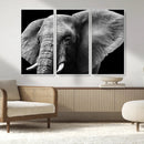 Big Elephant Close Up Wall Art Canvas Print