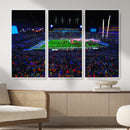 Ole Miss Rebels Vaught Hemingway Stadium Wall Art Canvas by MyGreatCanvas | Canvas Wall Art Prints | Photo Prints & Wall Decor
