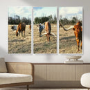 Texas Longhorn Wall Art Canvas Print, Western Ranch Cattle by MyGreatCanvas | Canvas Wall Art Prints | Photo Prints & Wall Decor