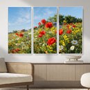 Wildflower Meadow Wall Art Canvas Print – Colorful Poppy and by MyGreatCanvas | Canvas Wall Art Prints | Photo Prints & Wall Decor