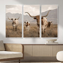 Rustic Texas Longhorn Cow Canvas Wall Art Print, Rustic Farm Animal Photography Print, Farmhouse Country Decor, Western Ranch Art