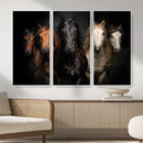 Horse Wall Art Canvas Print, Wild Horses Portrait Photography, Dramatic Equestrian Decor, Black Brown White Horse Herd, Rustic Ranch Art