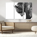 Black and White Grizzly 399 Bear Canvas Print Wall Art | by MyGreatCanvas | Canvas Wall Art Prints | Photo Prints & Wall Decor