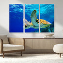 Sea Turtle Wall Art Canvas Print, Sea life in the Ocean Wall